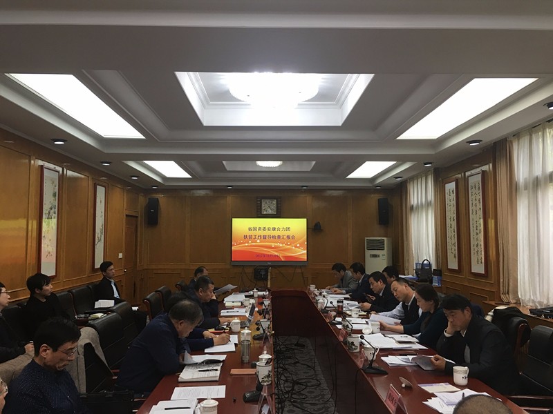 陕西金年会集团参与省国资委安康合力团扶贫工作督导查抄汇报会