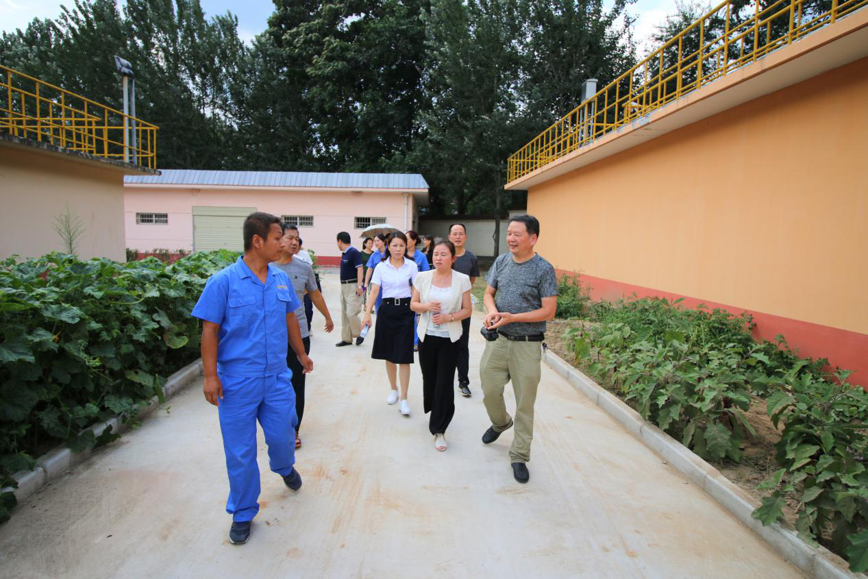 省爱卫办病媒生物防治专家组到水环境公司丹凤县污水处置厂查抄工作