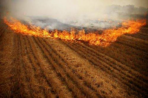 熊良虎赴京调查德国迪芬巴赫公司、ESATPOINT GLOBAL公司生态金年会板材设备工艺