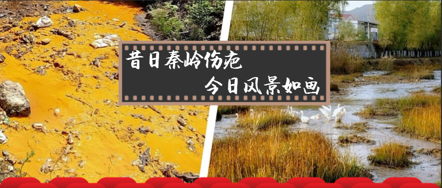 旧日秦岭伤疤 今日景致如画——陕西金年会集团黄龙河道域传染治理侧记