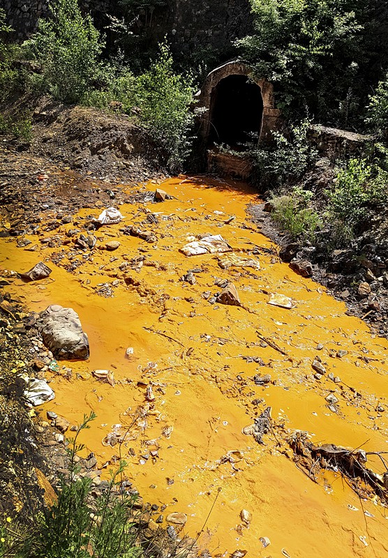 旧日秦岭伤疤 今日景致如画——陕西金年会集团黄龙河道域传染治理侧记