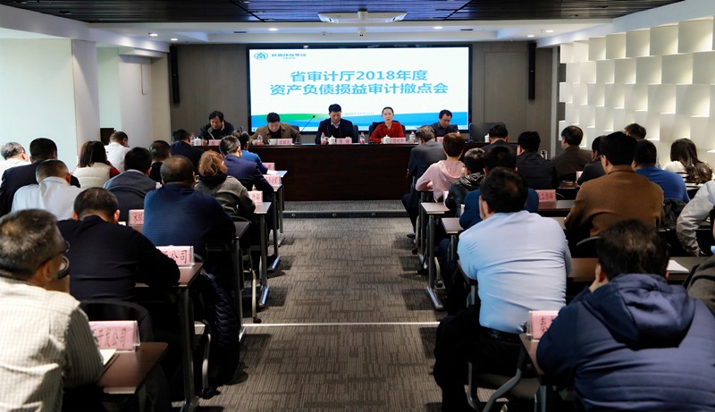 省审计厅对陕西金年会集团2018年度资产负债损益审计撤点会召开