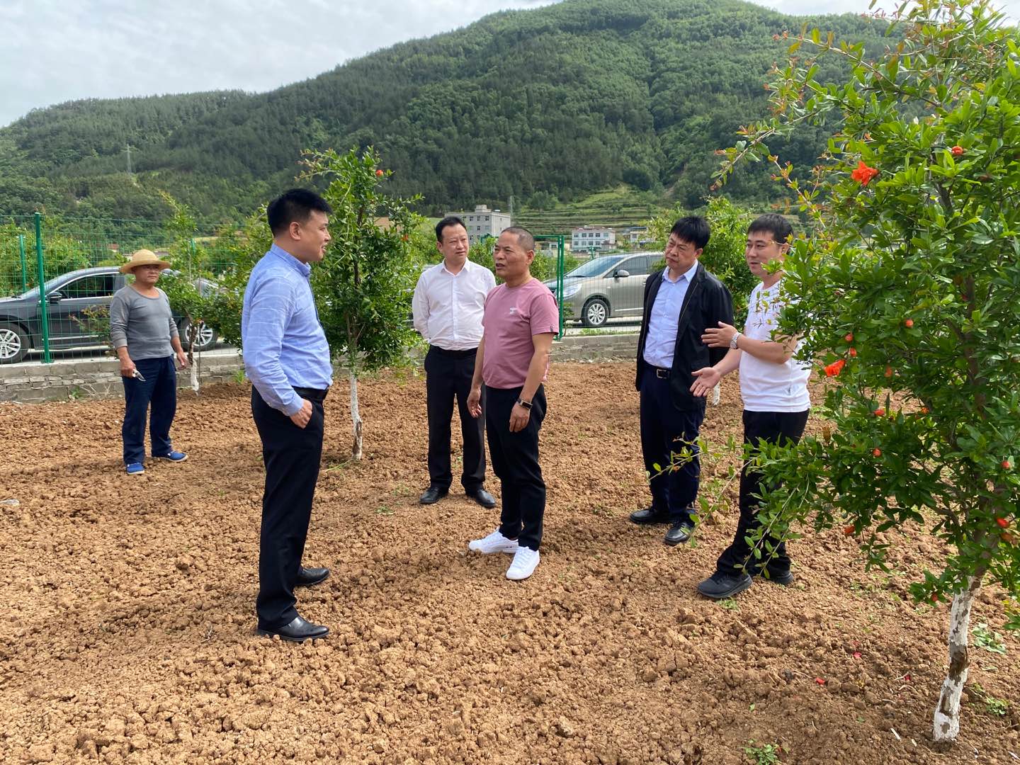 集团公司辅导赴旬阳县调研产业扶贫工作