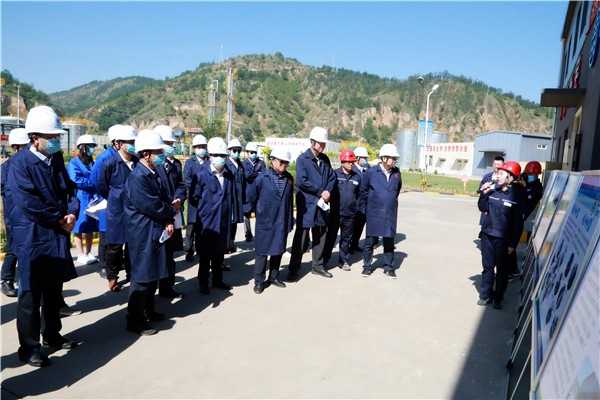 陕西金年会集团复工复产促增长项目观摩会议与会人员走进金年会保隆生态三秦在延在铜项目