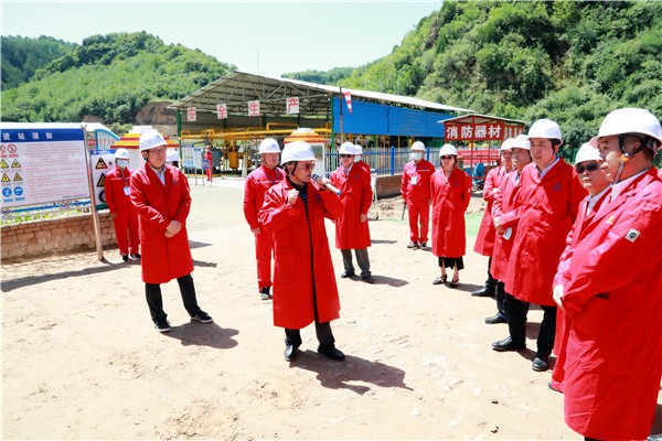 陕西金年会集团复工复产促增长项目观摩会议与会人员走进金年会保隆生态三秦在延在铜项目