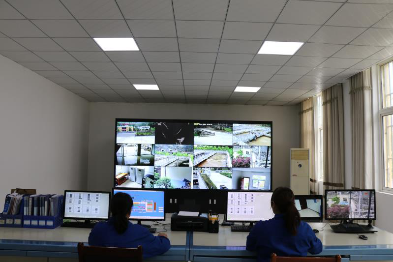 这个端午节，水环境人这么过（二）