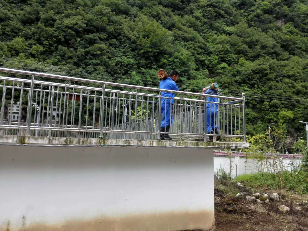 这个端午节，水环境人这么过（二）