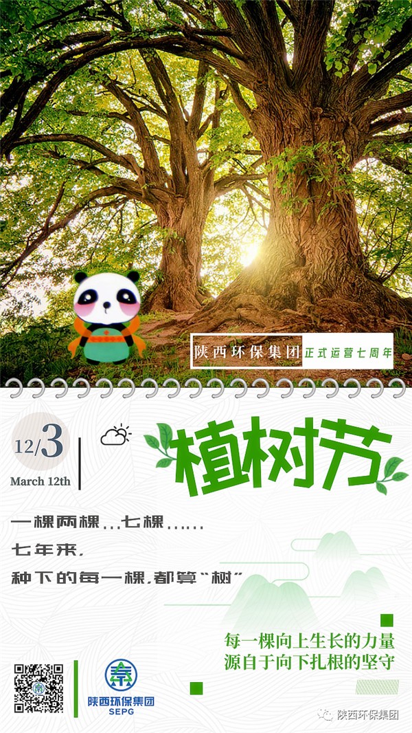 ★七年来，种下的每一棵，都算“树”